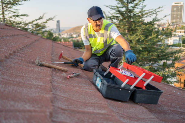 Demolition Debris Removal in Lake Mack Forest Hills, FL